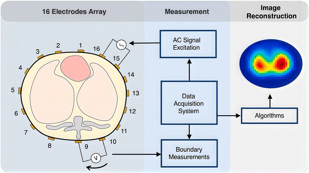 Diagram of electrical impedance tomography. A ring of sixteen electrodes surrounds a body cross-section; an AC signal excites one electrode pair while boundary voltages are measured, and reconstruction algorithms turn the measurements into an image of the interior.
