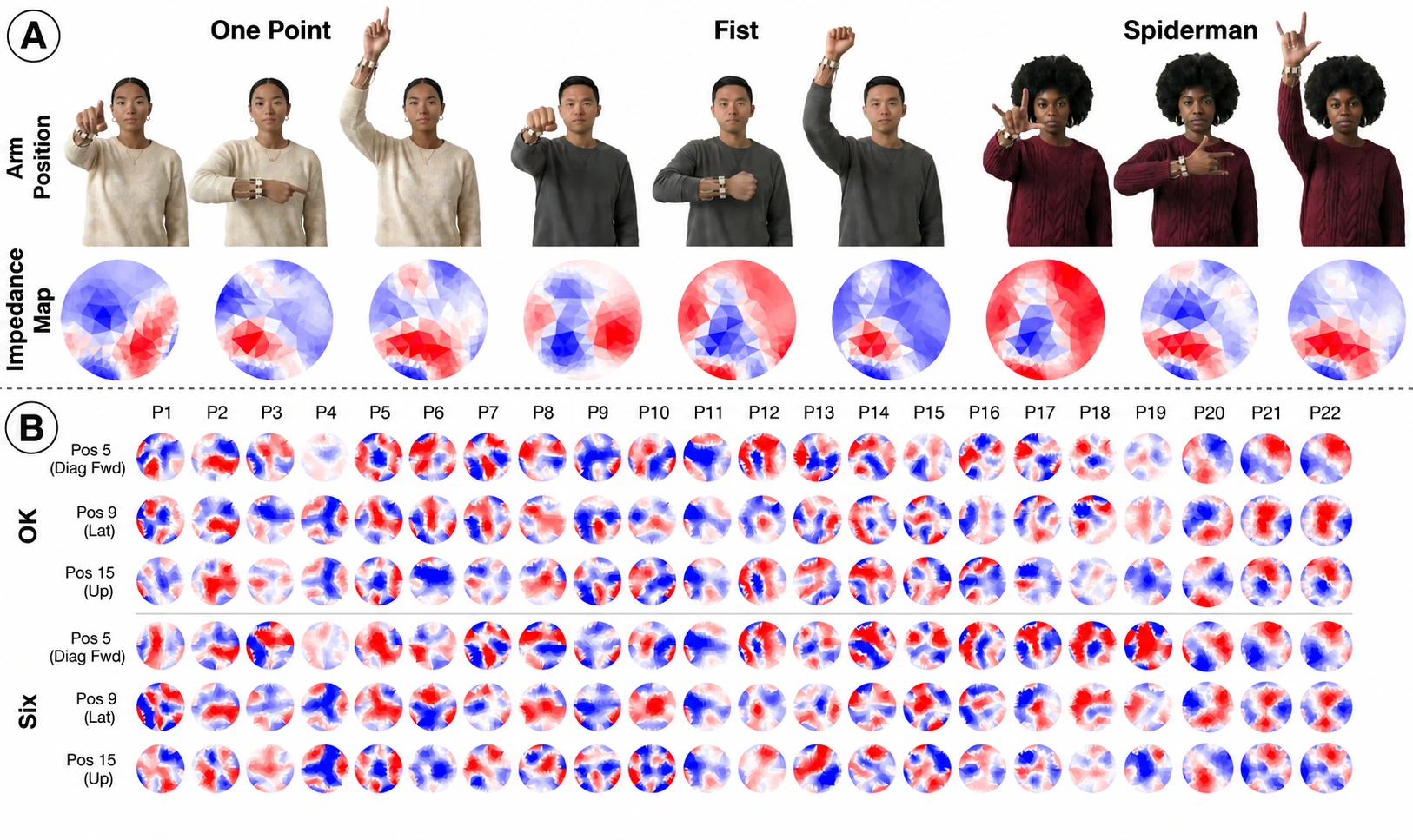 Top: three hand poses (One Point, Fist, Spiderman), each photographed at three arm positions for one person, with the reconstructed circular impedance map below every photo; the red and blue patterns differ between arm positions. Bottom: impedance maps for the OK and Six poses at three arm positions for all 22 participants, again differing between arm positions within each participant column.