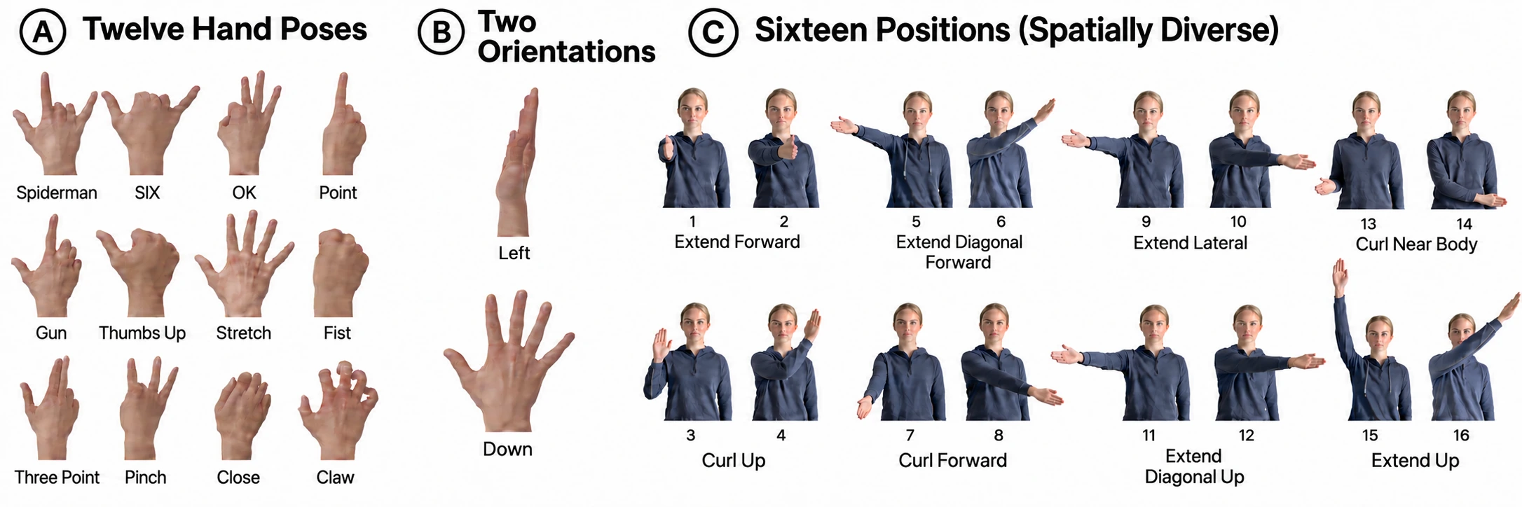 Panel A: photographs of twelve hand poses (Spiderman, Six, OK, Point, Gun, Thumbs Up, Stretch, Fist, Three Point, Pinch, Close, Claw). Panel B: two forearm orientations, palm left and palm down. Panel C: sixteen spatial arm positions grouped into extend forward, extend diagonal forward, extend lateral, curl near body, curl up, curl forward, extend diagonal up, and extend up.